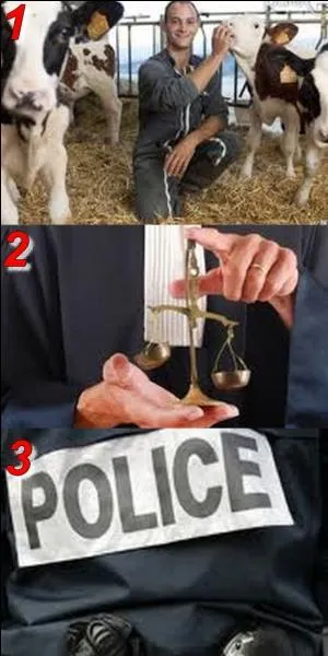 Quel est le synonyme de "vache" ?