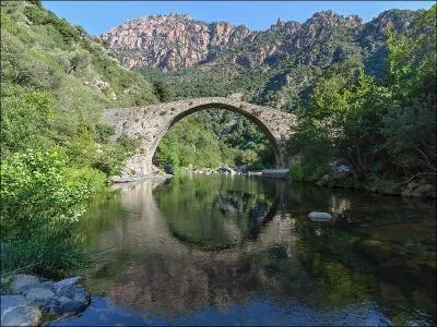 Ce pont génois de 30 m de longueur du XVe siècle sur le Porto en Corse-du-Sud à Ota a pour nom :