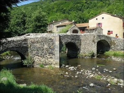 Le Pont-Vieux est piétonnier, il possède 3 arches et a été construit au XVe 
siècle sur la Couze-de-Pavin, dans le Puy-de-Dôme à :