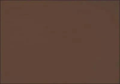 Comment dit-on "marron" en espagnol ?