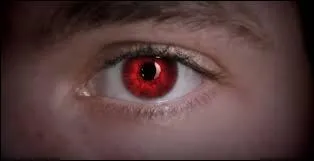 Qui devient le vrai Alpha ?