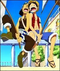Luffy connaît-il le père d'Usopp ?