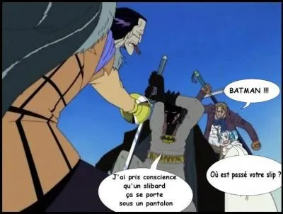 Nous avons la chance de voir arriver Batman dans "One Piece". Apparemment, il a pris conscience de quelque chose, quelle est-elle ?