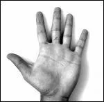 Combien de muscles l'homme utilise-t-il pour faire bouger sa main ?