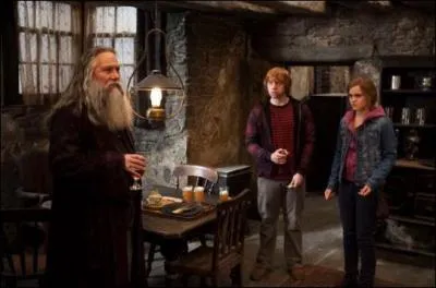 Parmi les personnes suivantes, Harry rencontre pour la première fois dans le 7ème épisode ... ?