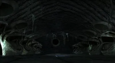 Qui Ron va-t-il embrasser dans la "chambre secrète" ?