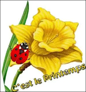 Si aujourd'hui je viens de prendre encore un printemps, c'est le moment ...