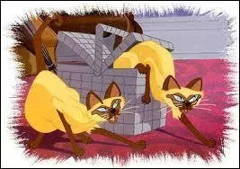 Quel est le film de Disney où apparaissent les deux chats siamois, Si et Am ?