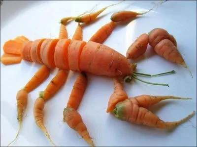 Quel crustacé n'a pas de pinces ?