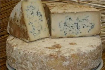 Avec quel lait fabrique-t-on le bleu de Corse ?