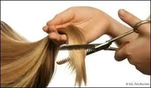 "Couper les cheveux en quatre" signifie :