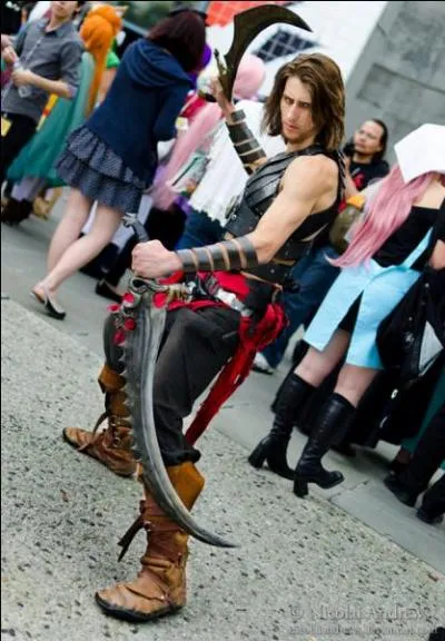 Ce cosplay vient de :