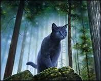 Quel est le nom de chaton d'Étoile Bleue/ Lune Bleue ?