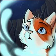 Qui était le mentor de Feuille de Lune ?