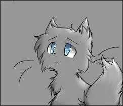 Quelle est la nourriture préférée du Clan de l'Ombre ?