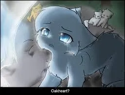 Étoile Bleue devient amoureuse de :