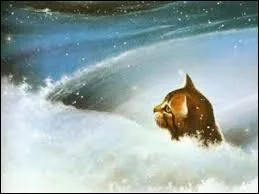 Pourquoi Pelage d'Orage reste-t-il avec la Tribu de l'Eau Vive ?