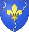 Voici le blason d'une ville de Champagne-Ardenne. Ville principale du Pays du Der, elle est située au sud du Lac du Der-Chantecoq. Il s'agit de la ville de ...
