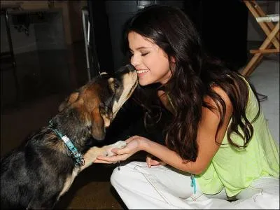 Combien d'animaux a-t-elle sauvés dans la rue ?
