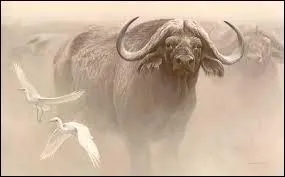 Quand Spirit était poulain, quels animaux rencontre-t-il ?