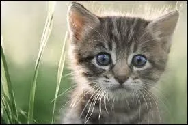 Qui est son unique enfant ?