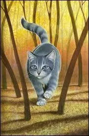 De quel clan fait-elle partie ?