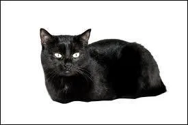 Pourquoi rejoint-elle la Forêt Sombre ?