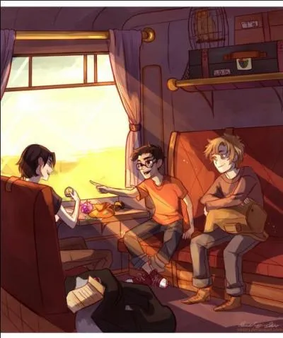 Qui fut le dernier des Maraudeurs à périr en 1998, dissolvant ainsi définitivement le groupe ?