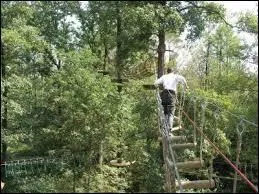 La photo de ce parc d'aventures et le fait que je sois localisée en Alsace vous donnera mon nom !