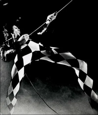 Dans Harry Potter, quelle est l'émission de Radio qui rend Ron complètement Ga Ga ?