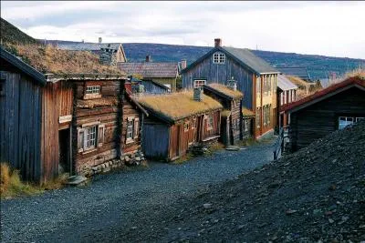 Décrite par l'écrivain norvégien Johan Falkberget, la ville de Roros a été inscrite à l'UNESCO pour sa valeur symbolique. Quelle est-elle ?