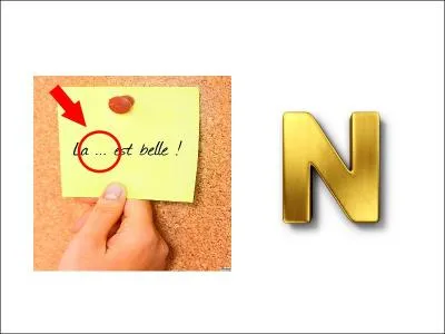 Quelle ville est traversée par le Danube ?