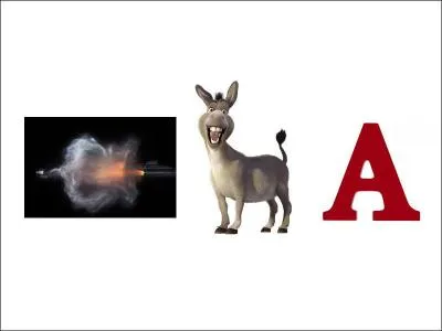 Cette ville possède la rivière Ishëm. C'est :