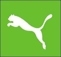 Cette image ne peut être que la marque Jaguar !