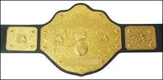 Après WM 24, la dernière qui est bien, passe l'ère 2009-12. Lequel des matchs était pour le titre