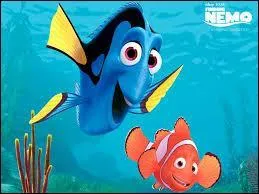 Cette image est extraite du film "Le Monde de Nemo" !