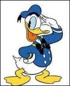 Ce joli canard s'appelle...