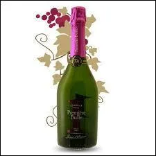 De quelle ville ce vin pétillant appelé blanquette, fait-il la renommée ?