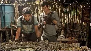 Qui est le chef des coureurs ?