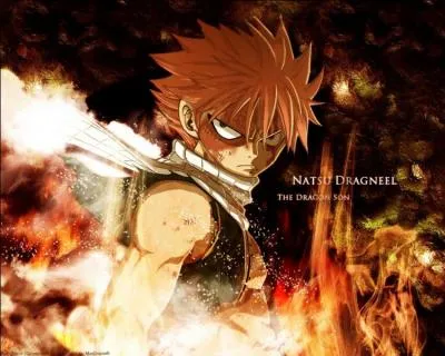 Natsu est amoureux de :