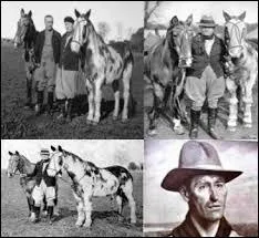 Comment s'appelait les deux chevaux criollos d'Aimé Félix Tschiffely, un homme qui a parcouru plus de 15 000 kilomètres à cheval entre Buenos Aires et Washington ?