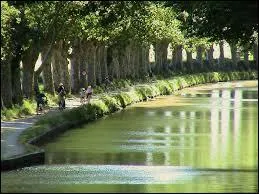 Vrai ou faux ? Carcassonne a plus de 100 kilomètres de superficie, ce qui en fait la plus vaste ville à 200 kilomètres à la ronde.