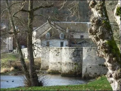 « Cri de surprise » en voyant un « nomade d'Eurasie centrale ».