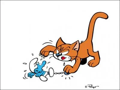 Voici un chat que vous avez dû rencontrer au détour de vos lectures de la BD des Schtroumpfs. Connaissez-vous son nom ?
