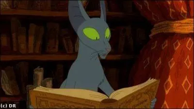 Plus difficile, comment s'appelle ce chat, créé par Joann Sfar ?