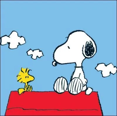 Vous connaissez Snoopy, très célèbre chien philosophe. Mais connaissez-vous le nom de son ami, un petit oiseau jaune ?