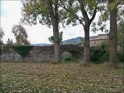 Ce pont d'une arche en dos d'âne a été construit en 1740 sur l'Encrème dans
le département des Alpes-de-Haute-Provence à :