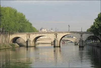 Pont de 92 mètres de long construit sur la Seine en 1635, à Paris 4e, inscrit au 
patrimoine mondial en 1991, se nomme le Pont :