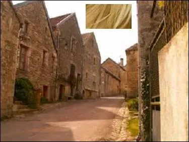 Plusieurs communes portent le nom de Flavigny - Flavigny-sur-Onzerain, Flavigny-sur- Moselle - l'origine en est latine.
Que veut dire « flavius » en latin ?