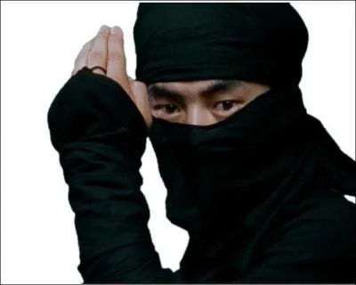 "Cette unité est un ninja" est dans les remarques en jeu lorsque vous jouez un champion dit ninja. Cet remarque a-t-elle un effet en jeu ?